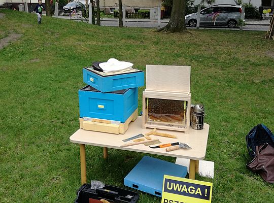 Działalność edukacyjna