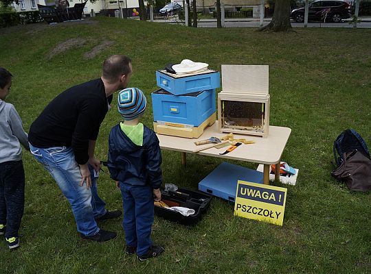 Działalność edukacyjna