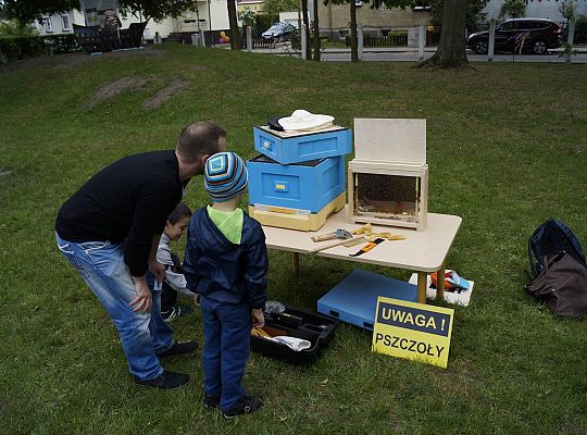 Działalność edukacyjna