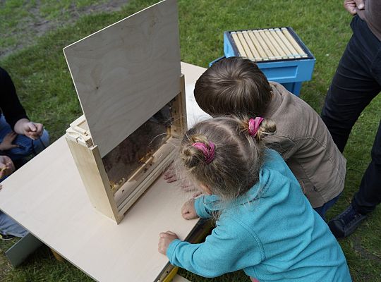 Działalność edukacyjna