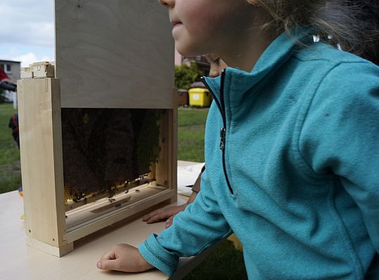 Działalność edukacyjna