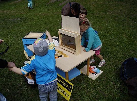Działalność edukacyjna