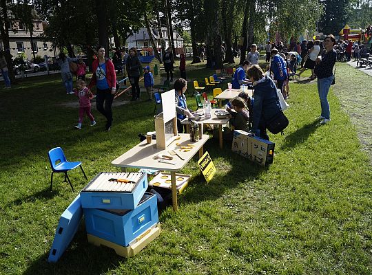 Działalność edukacyjna