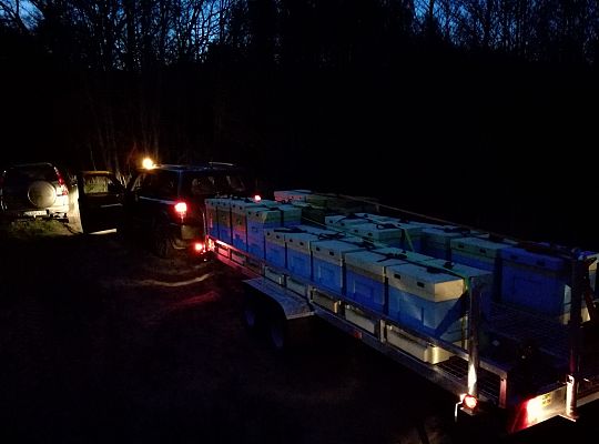 Wędrówka na pożytki