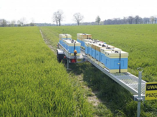 Wędrówka na pożytki