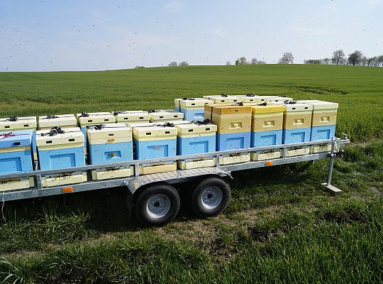 Wędrówka na pożytki