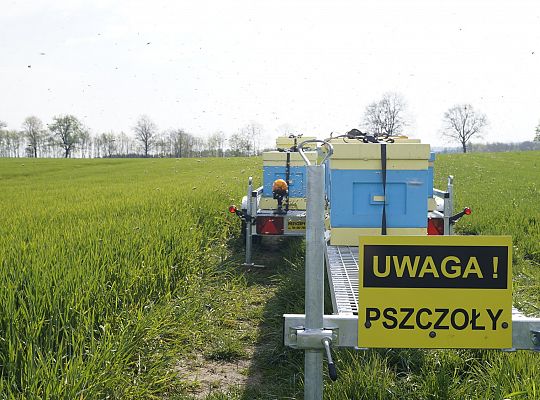 Wędrówka na pożytki