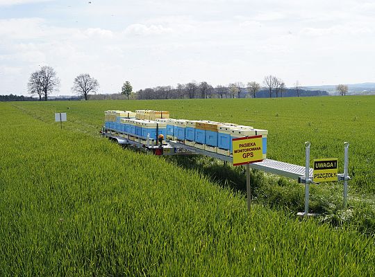 Wędrówka na pożytki