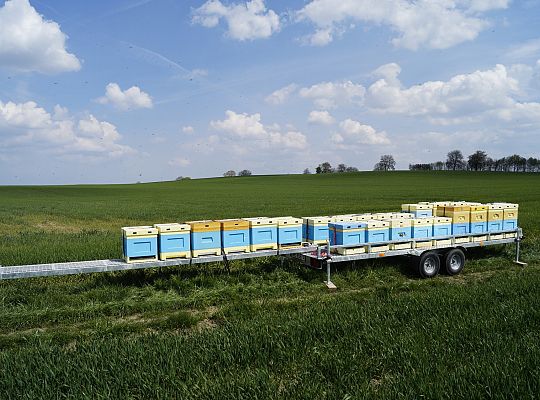 Wędrówka na pożytki