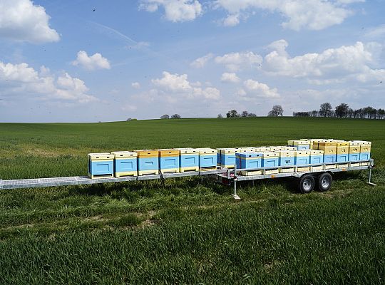 Wędrówka na pożytki