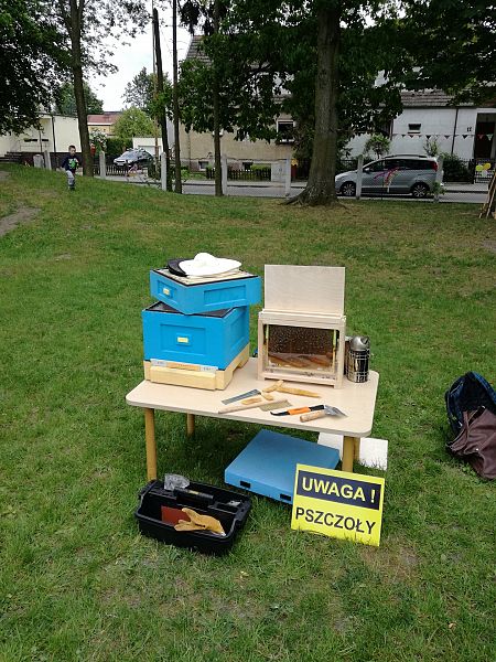 Działalność edukacyjna