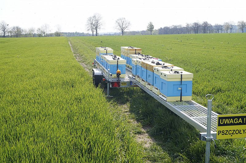 Wędrówka na pożytki